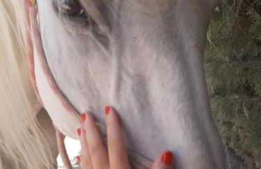 EL CONVENTO Vivienda Rural Jaén Andalucía España - Foto 36