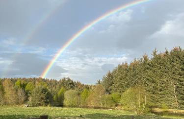 Willowbarn Rafford Self Catering - Foto 6