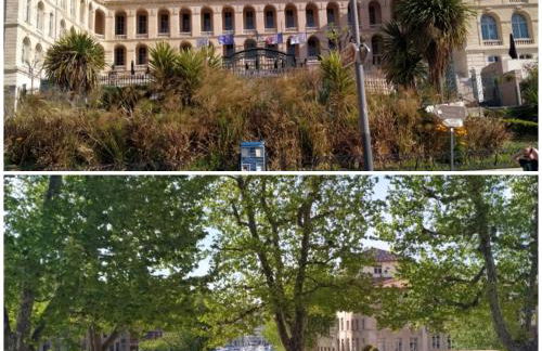 PETIT BONHEUR Au COEUR DU VIEUX PORT - Foto 20