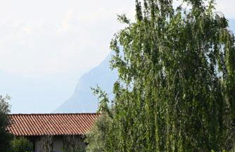 Open space fronte lago - Foto 43