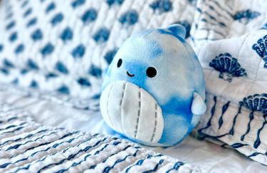 Oceanfront Stay w/ AC, BBQ, Washer/Dryer & Kitchen - Foto 65