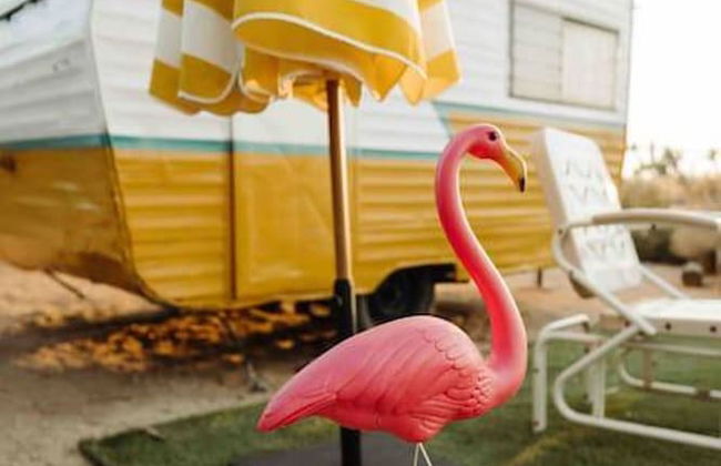 Cozy Rustic Home Minutes to Joshua Tree Nat l Park - Photo 4