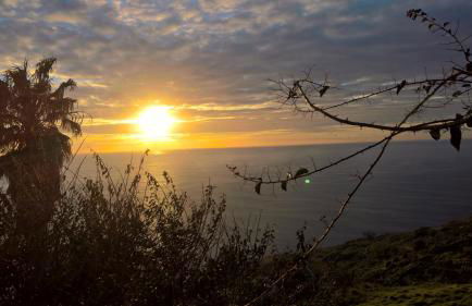 Casal São João Cottages - Foto 48