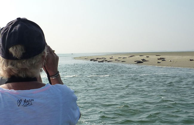 Family Friendly Villa near Center of Kortgene - Photo 38