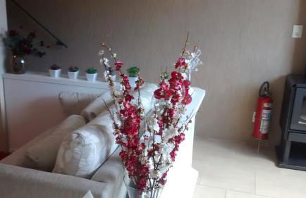 Estrelatto Residence - Foto 10