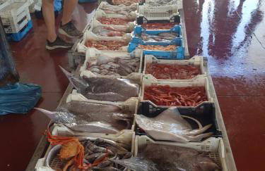 terrazza sul porto - Foto 9