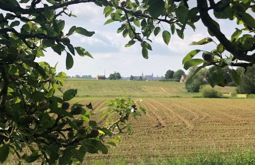 Au coin du loup, monts de Flandres, Zwarteberg - Foto 23