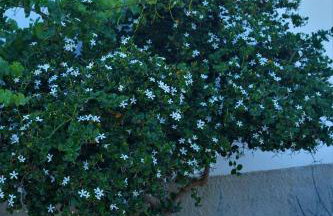 Anevalousa Beach House - Foto 15