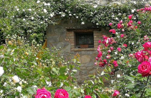 Cà di Minù - Foto 6