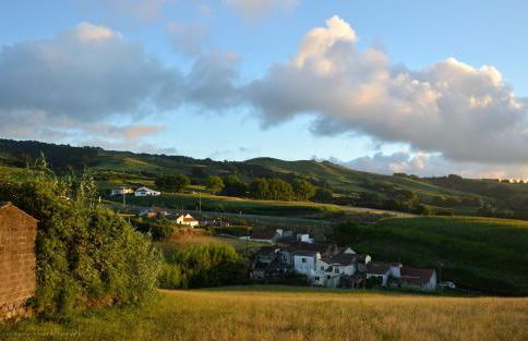 Sunset GreenHouse - Photo 51