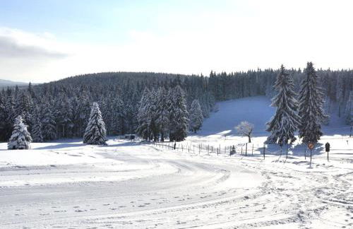 Apartment Schneestern - Photo 18