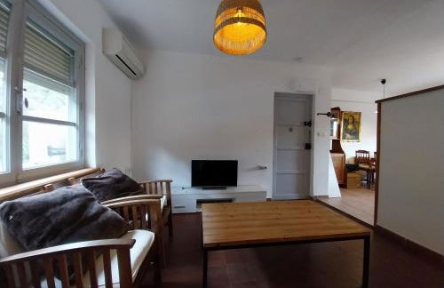 Ave Ibis eremita Vejer - Foto 17