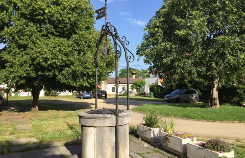 Apartments Vojvoda - Foto 28