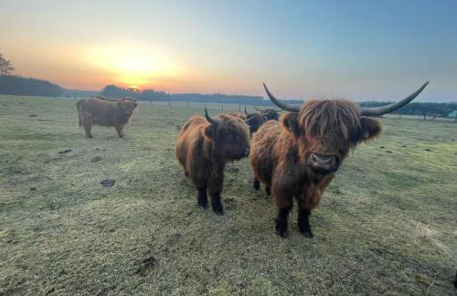 Agroturystyka "Apartament na wsi" Bory Tucholskie - Foto 18