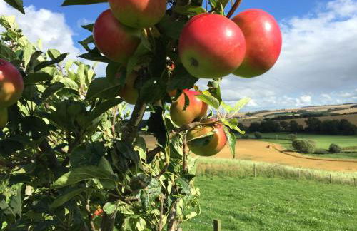 Cocklekitty Cottage - Foto 27