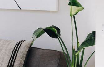 'The Studio' Designer, seaside cottage - Foto 20