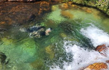 Pousada Vilas Boas - Foto 27