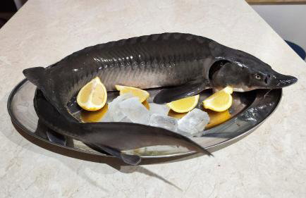 Dom nad jeziorem Zbiczno Siedlisko - Foto 46