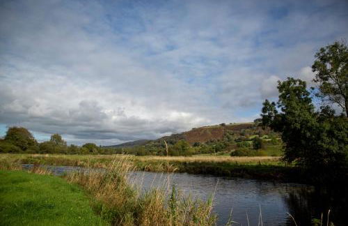 Felin Gogoyan - Photo 29