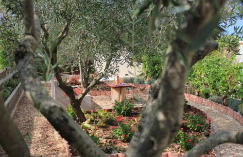 Orhideja Apartment - Foto 9