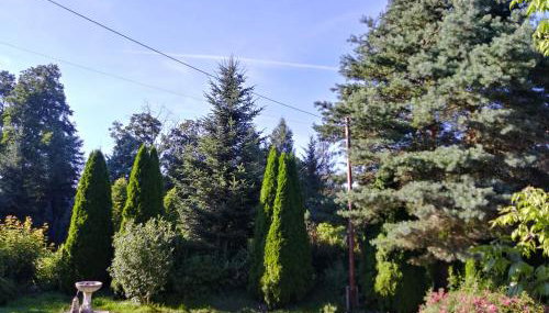 Agroturystyka Nad Cichą - Foto 2