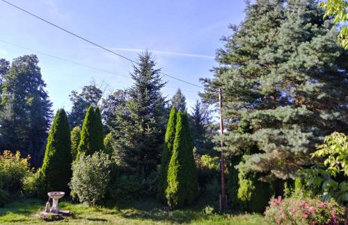 Agroturystyka Nad Cichą - Foto 2