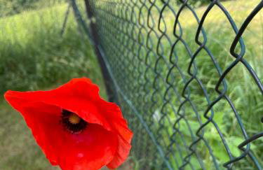 Cichy Zakątek dom całoroczny , Janowiec, Kazimierz Dolny, - Foto 57