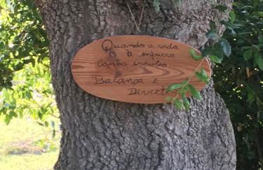 Quinta do Carvalheiro - Photo 12