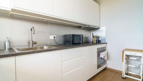 Appartement avec vue hypercentre - Foto 3, stove, dishwasher