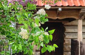 Gniazdo w Felicjanowie - Foto 21