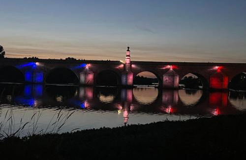 La Villa en Loire, avec Jacuzzi 6 places, Piscine chauffée, boulodrome, salle de jeu, 6 Chambres, vue Loire, 350M2 - Foto 75