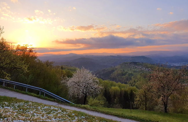 Vineyard cottage Matej - Foto 43