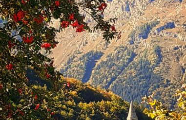 Alba Lucis Suite Rooms - Photo 16