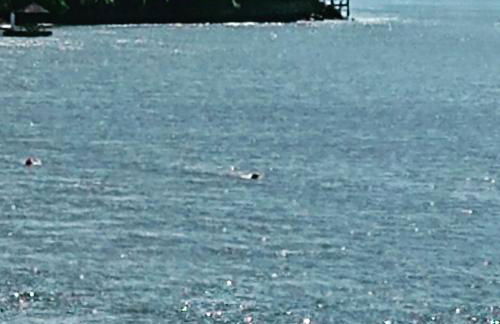 Solar da Praia Kitesurf House - Foto 37