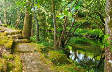 Casa da Rapadoira - Foto 12