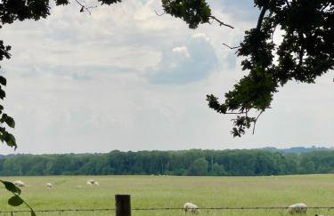 Norton Lodge 29 - Photo 8