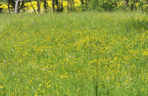 Im Herzen des Kraichgaus 2 - Foto 43