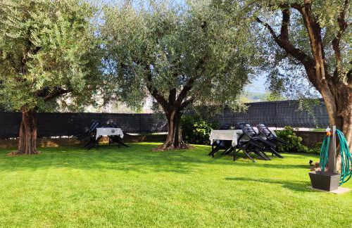 Oasi degli Ulivi - Foto 61