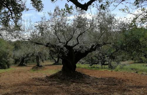 MASÍA de SAN JUAN CASA NÚMERO 15 en Castillo con piscina, Aire Acondicionado y terraza privada - Photo 45