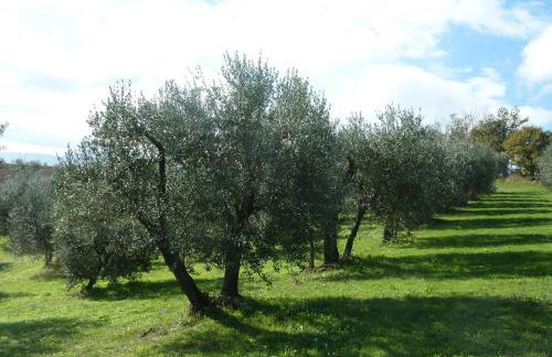 La Fortezza Alta - Foto 77