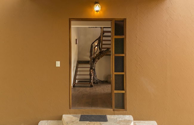 Terra Coral - Chapada dos Veadeiros - Foto 72