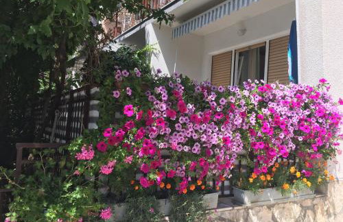 Apartments Paco & Bony - Photo 55