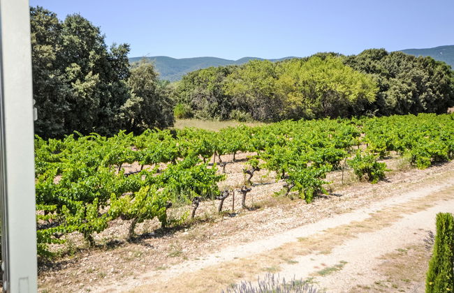 L'Oustaou dei Figo - Photo 25