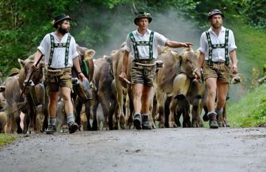 Eibele Chalets - Foto 28