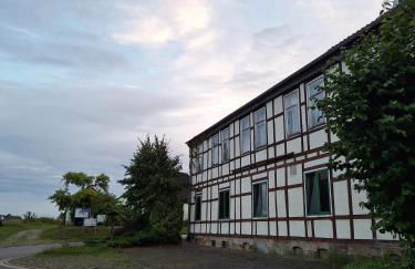 HofQuartier Altmersleben - Foto 33