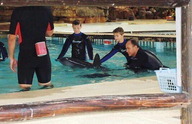 Villa Castelos, Quelfes, Eastern Algarve 8700-581 - Photo 23