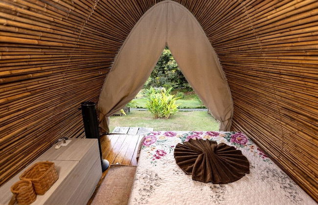 Esquipulas Rainforest - Foto 5