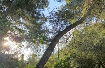 CasAlegria La Franqui - Foto 25