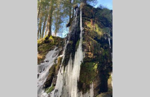 Gemütliche Ferienwohnung in Sankt Blasien - Foto 48