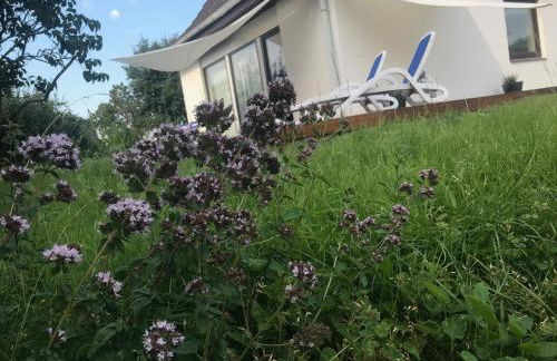 Casa Marcu Wohnung 2 EG - Foto 22